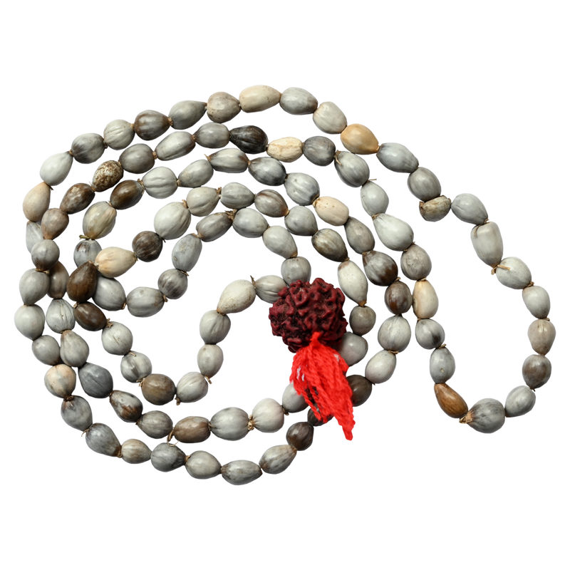 Vaijyanti Mala